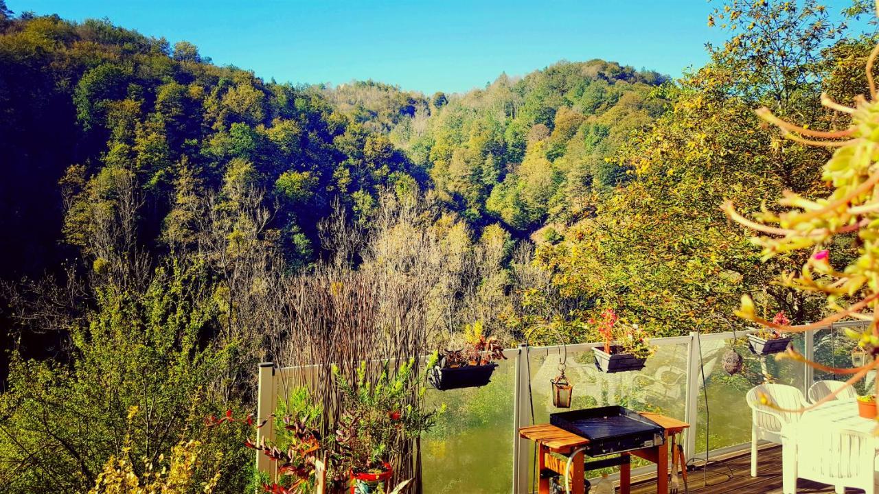 Skymist Maison D'Hotes Biert Εξωτερικό φωτογραφία