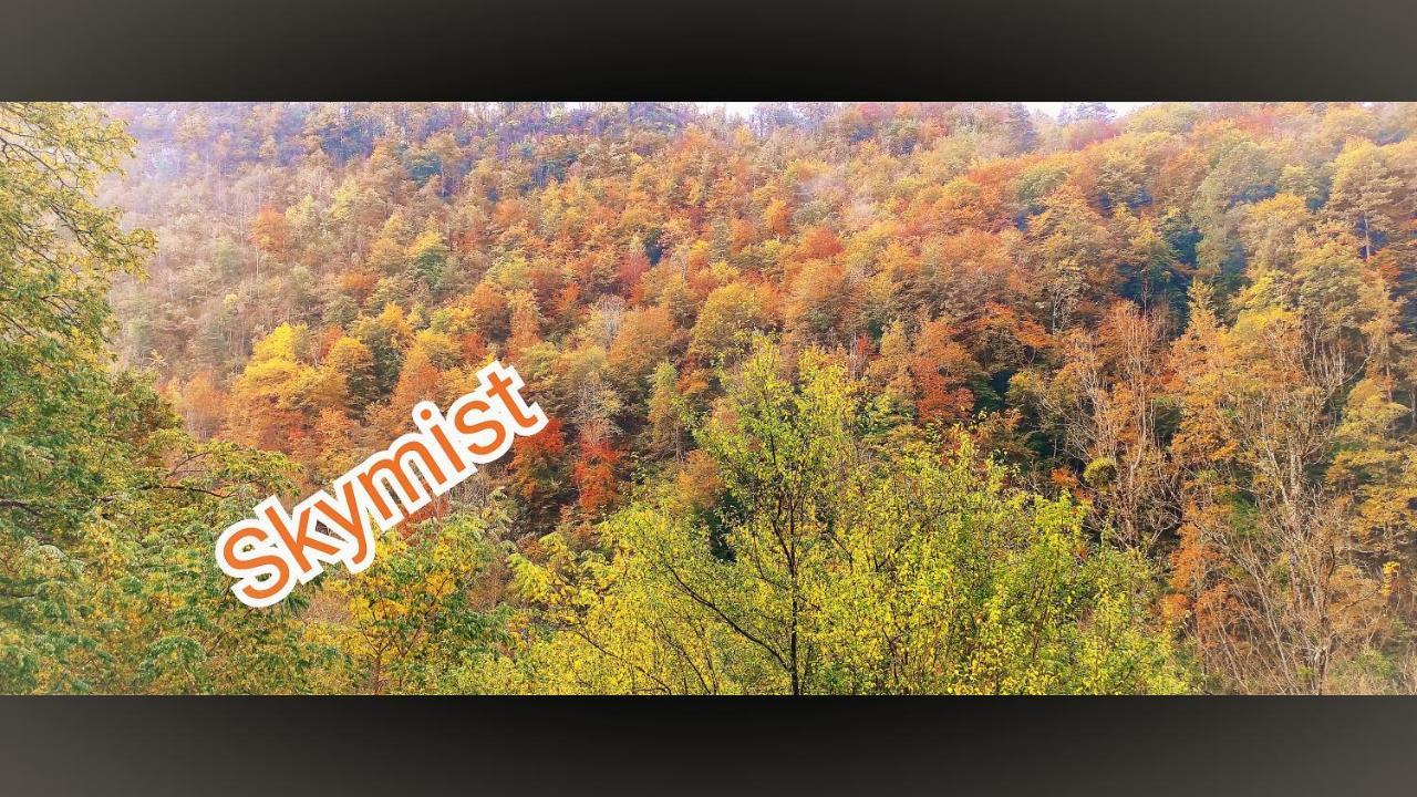 Skymist Maison D'Hotes Biert Εξωτερικό φωτογραφία