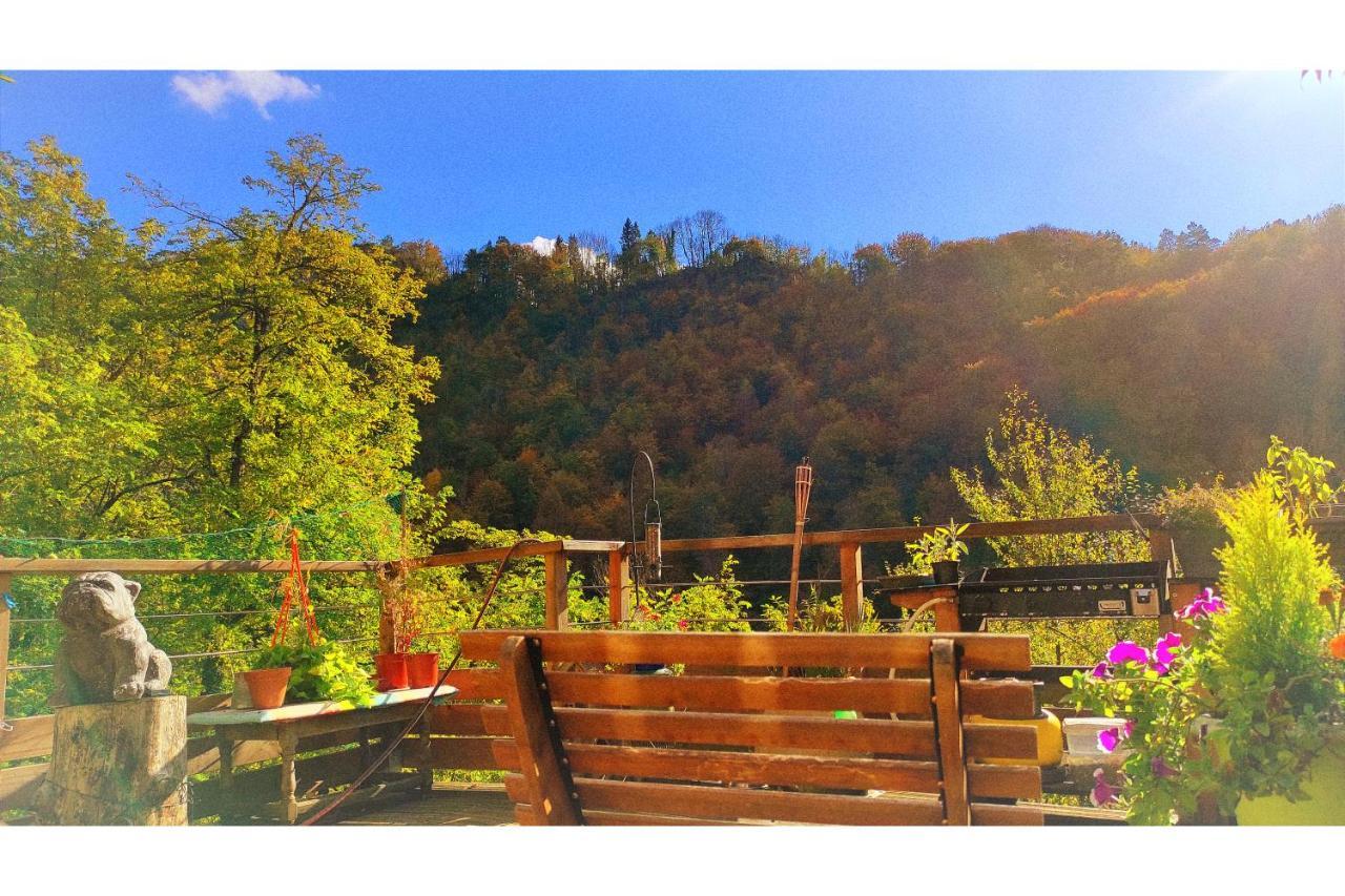 Skymist Maison D'Hotes Biert Εξωτερικό φωτογραφία