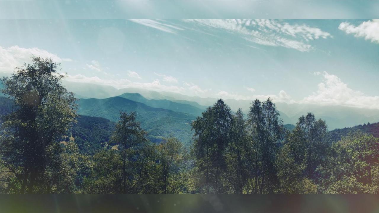 Skymist Maison D'Hotes Biert Εξωτερικό φωτογραφία